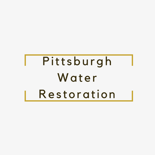 Image for Pittsburgh Water Restoration with ID of: 1641361