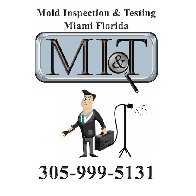 Image for Mold Inspection & Testing Miami FL with ID of: 1642442