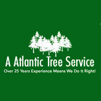 Image for A Atlantic Tree Service with ID of: 1642636