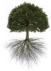 Image for Eagle River Tree Service with ID of: 1645212