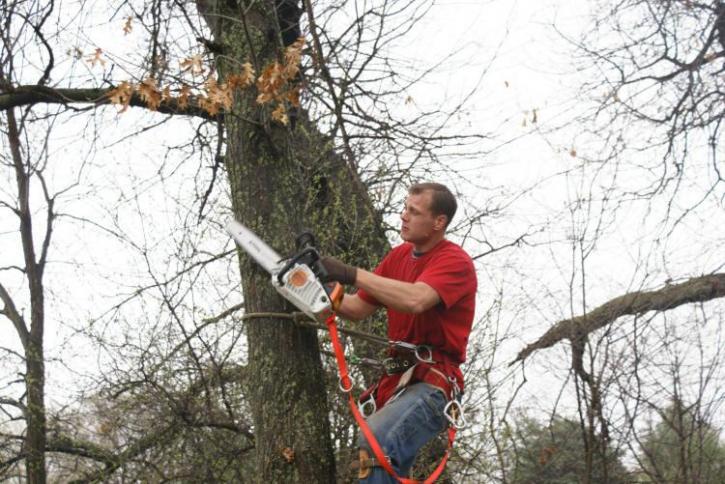 Image for Eagle River Tree Service with ID of: 1645216