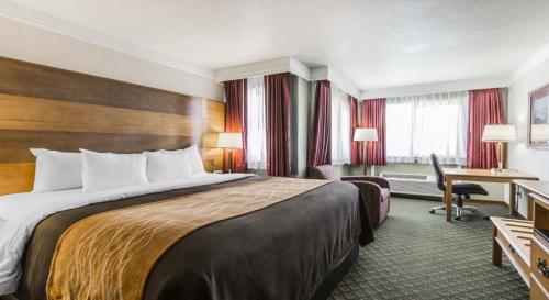 Image for Comfort Inn & Suites Durango with ID of: 1645578