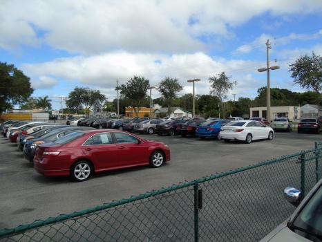 Image for Sunny Florida Cars with ID of: 1645894