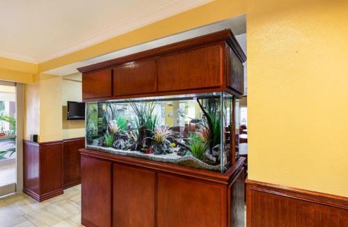 Image for Quality Inn & Suites Beachfront with ID of: 1645913