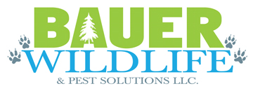 Image for Bauer Wildlife & Pest Solutions LLC with ID of: 1647527