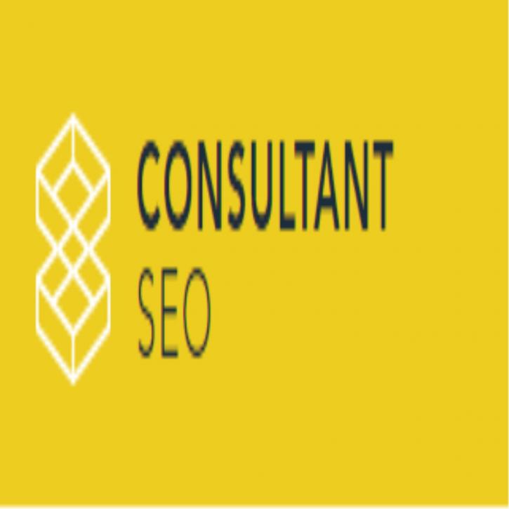 Image for Consultant SEO with ID of: 1648100
