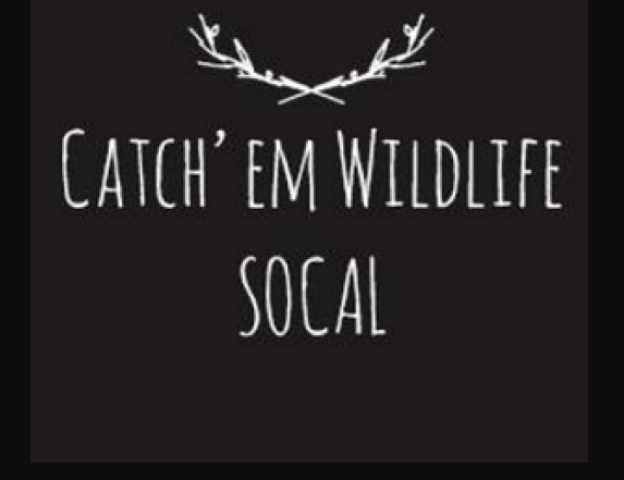 Image for Catch em wildlife Socal with ID of: 1650883