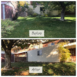Image for M&T lawn and Yard with ID of: 1651000