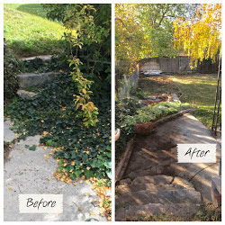 Image for M&T lawn and Yard with ID of: 1651002