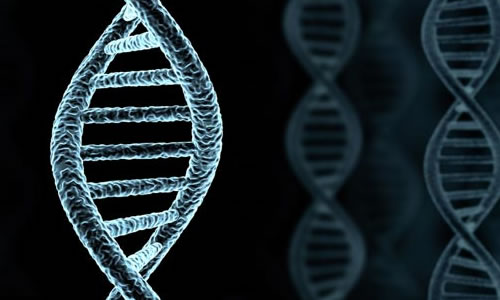 Image for Test Me DNA with ID of: 1651263