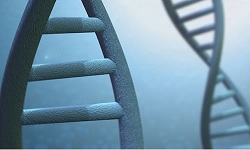 Image for Test Me DNA with ID of: 1651264