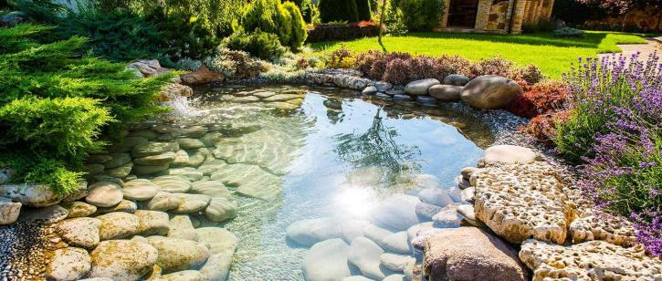 Image for Fitz's Fish Ponds NJ, NY & PA with ID of: 1651551