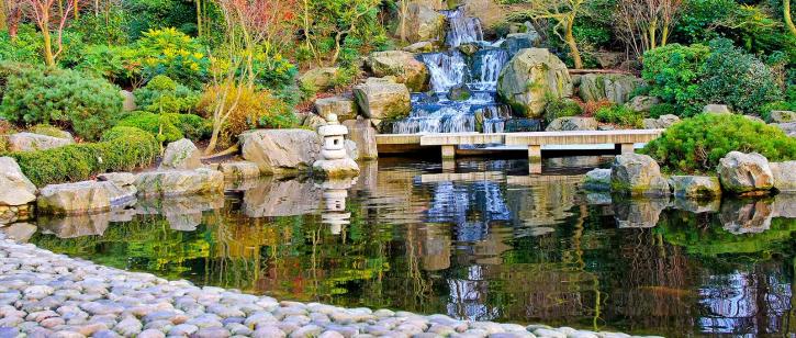 Image for Fitz's Fish Ponds NJ, NY & PA with ID of: 1651552