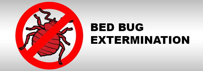 Image for Bed Bug Exterminator Los Angeles with ID of: 1651804