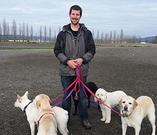 Image for Strut The Pup with ID of: 1655719