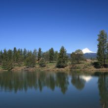 Image for Wolf N.W. Properties, Inc. with ID of: 1656345