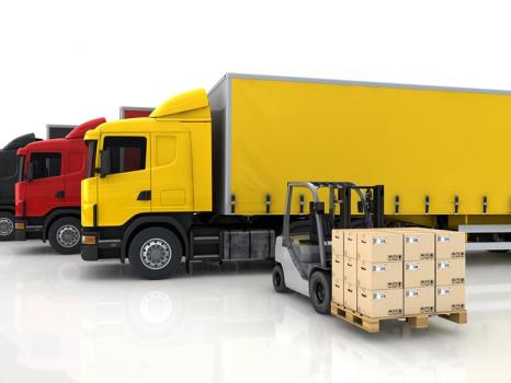 Image for Traditional Express Van Lines with ID of: 1656497