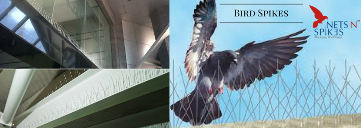 Image for bird netting services with ID of: 1657408