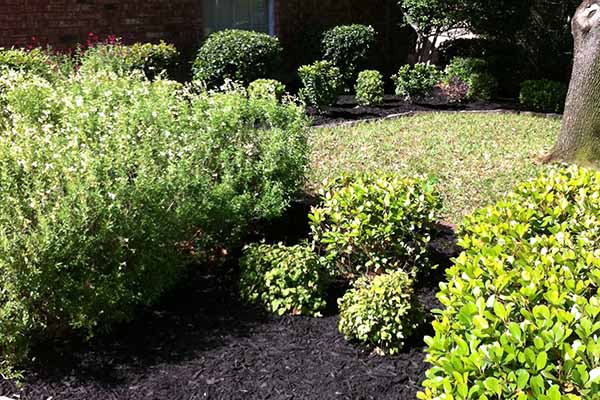 Image for Superior Lawnscapes with ID of: 1657888