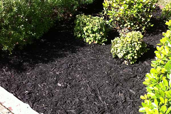 Image for Superior Lawnscapes with ID of: 1657889