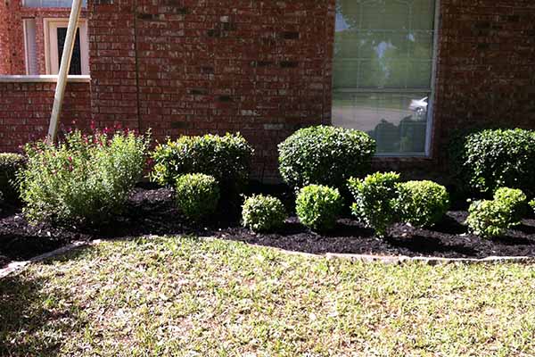Image for Superior Lawnscapes with ID of: 1657892