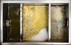 Image for Hood Cleaning Expert with ID of: 1657999