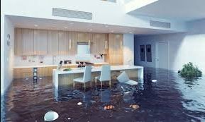 Image for Floods Pro Inc. with ID of: 1660011