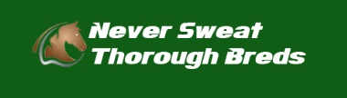 Image for Neversweat Thoroughbreds with ID of: 1660307