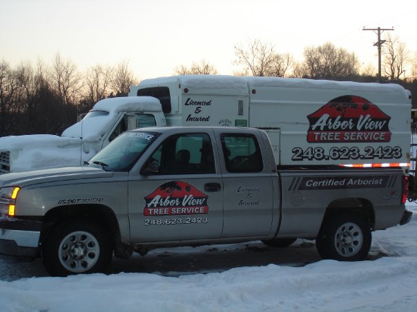 Image for Arbor View Tree Service with ID of: 1660895