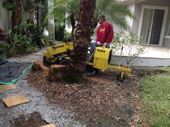 Image for Riverview Tree Service with ID of: 1664098