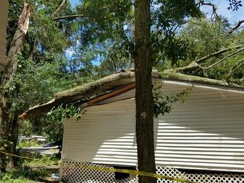 Image for Riverview Tree Service with ID of: 1664105