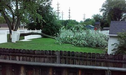 Image for Riverview Tree Service with ID of: 1664109
