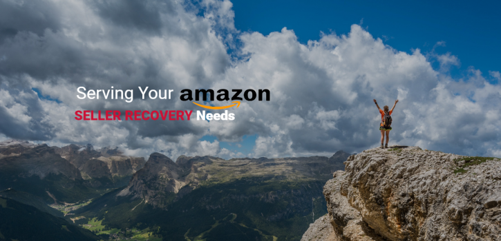 Image for Amazon Suspension Account Recovery with ID of: 1664131
