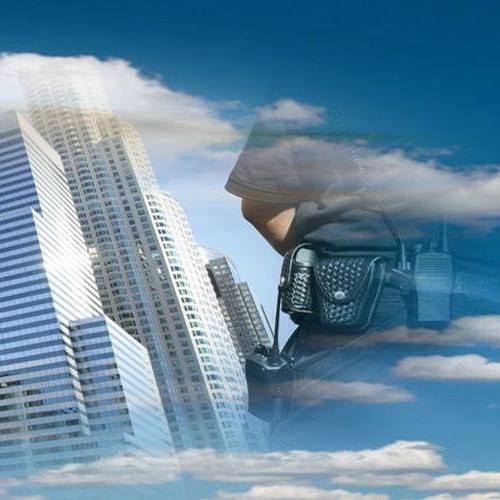 Image for Allied International Security Services with ID of: 1664476