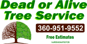 Image for Dead Or Alive Tree Service with ID of: 1665111