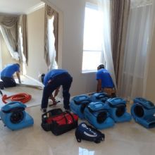 Image for Celtic Carpet Cleaner with ID of: 1666699