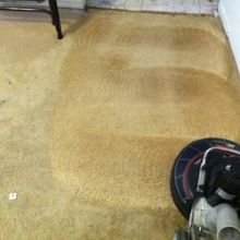 Image for Celtic Carpet Cleaner with ID of: 1666713