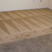 Image for Celtic Carpet Cleaner with ID of: 1666715