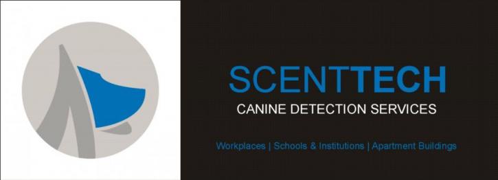 Image for Detect It with ID of: 1667010