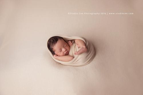 Image for Studio Cee Photography with ID of: 1667023