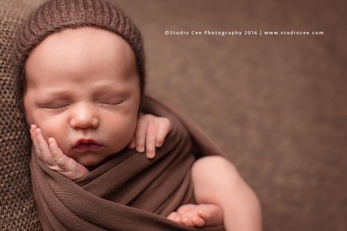 Image for Studio Cee Photography with ID of: 1667024