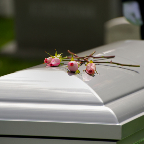 Image for Gillies Funeral Chapel with ID of: 1669660