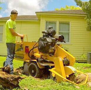Image for CC Tree Service with ID of: 1670227