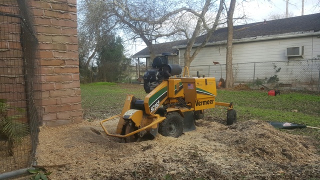 Image for CC Tree Service with ID of: 1670229