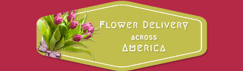 Image for business with ID of: 1670455