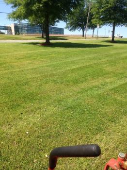 Image for Whites Lawn Services & Landscaping with ID of: 1670790