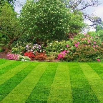 Image for Whites Lawn Services & Landscaping with ID of: 1670792