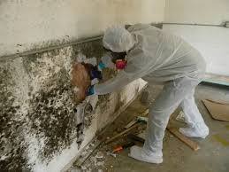 Image for The CleanUP Guys with ID of: 1671188