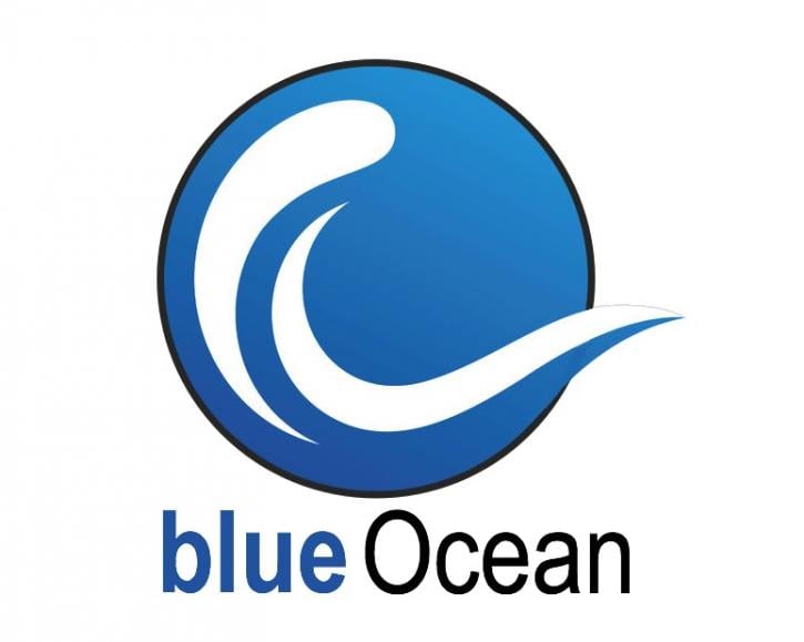 Image for BlueOcean SEO Agency with ID of: 1672509