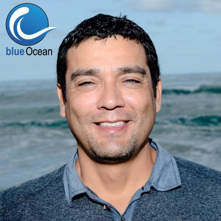Image for BlueOcean SEO Agency with ID of: 1672513